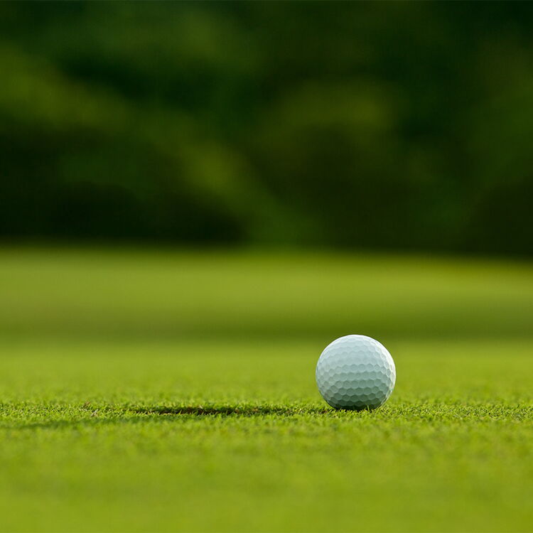 Kurzer Rasen mit einem einzelnen Golfball darauf